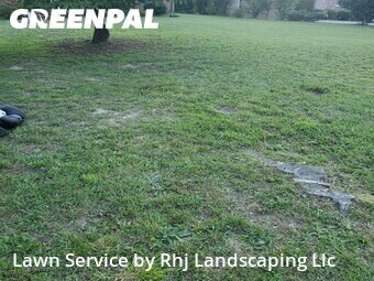 Lawn Cut nearby Petersburg, VA, 