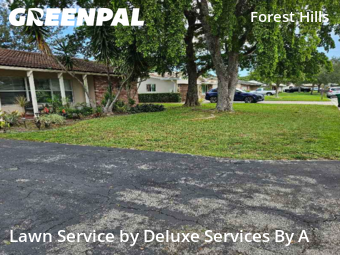 Yard Management in Coral Springs, 33065, Yard Mowing by Deluxe Services By A, work completed in Nov , 2025