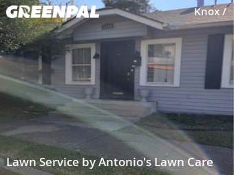 Landscaping Renovation In Dallas,75206,Landscaping by Antonio's Lawn Care, work completed in Dec , 2025