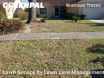 Lawn Carein Brandon,33510,Lawn Mow by Lawn Care Management, work completed in Dec , 2025