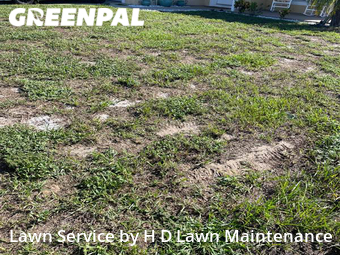 Grass Cut nearby Davenport, FL, 
