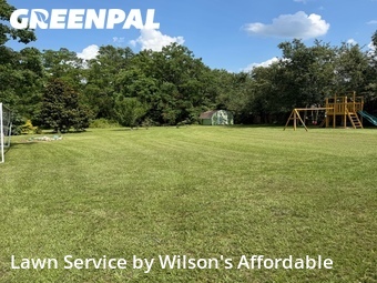 Lawn Mow nearby Valdosta, GA, 