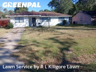 Grass Cut nearby Beaumont, TX, 