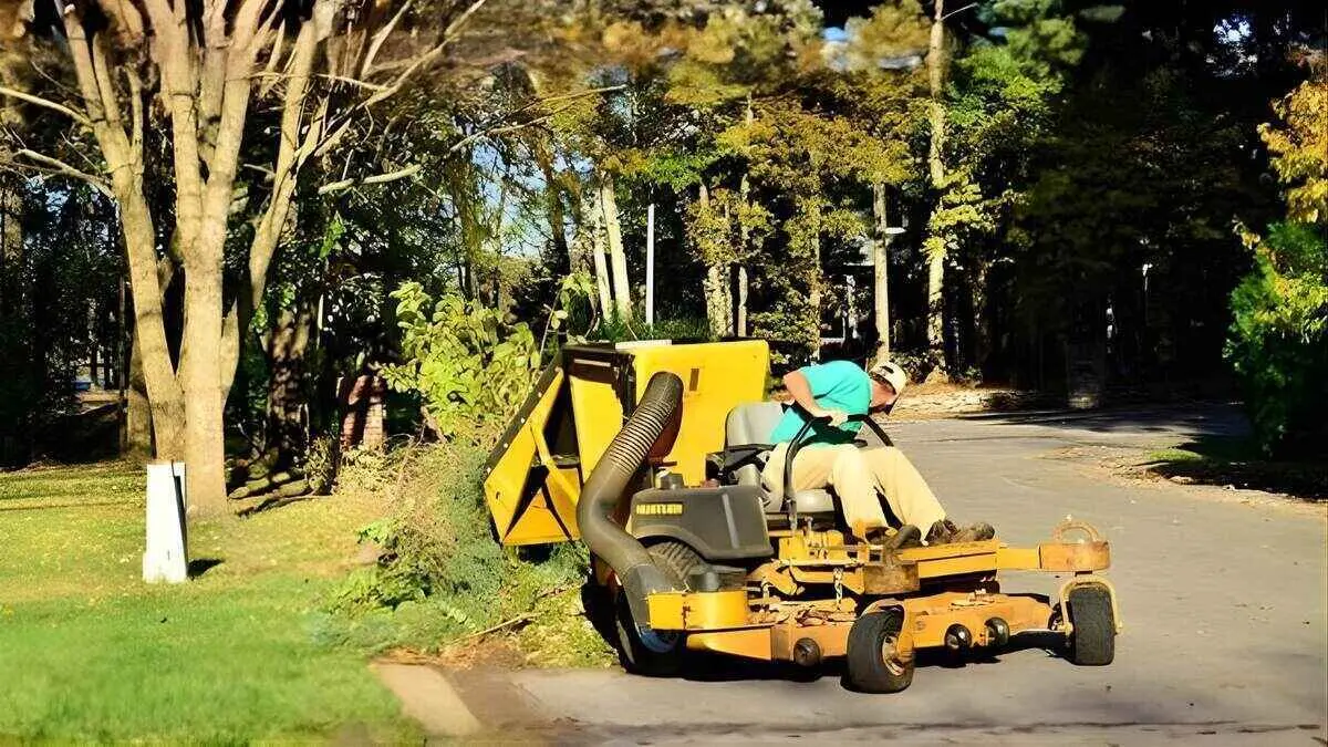 Overgrown lawn with tall grass and weeds needing maintenance