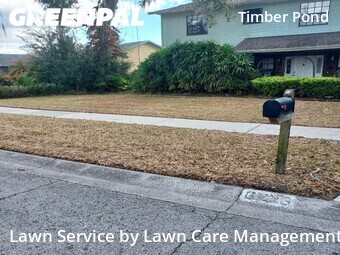 Yard Mowingin Brandon,33510,Lawn Cutting by Lawn Care Management, work completed in Jun , 2026