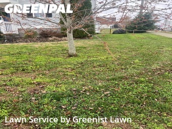Lawn Mowing nearby Spring Hill, TN, 