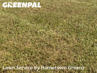 Lawn mowed in Bartow, 33830