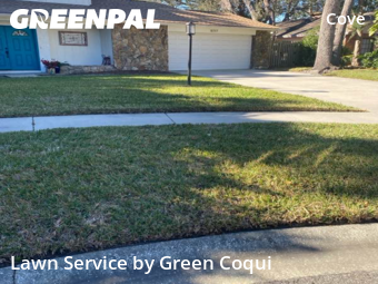 Lawn Cutting nearby Tampa, FL, 