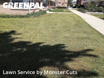 Grass Cut nearby Niles, IL, 
