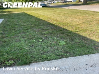 Lawn Mow nearby Bloomington, IL, 