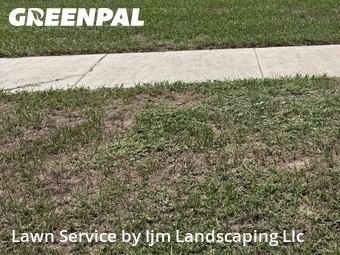 Yard Mowing nearby Kissimmee, FL, 