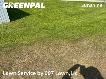 Grass Cut nearby Lehigh Acres, FL, 