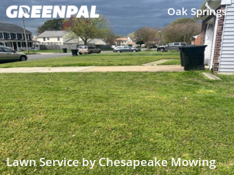 Yard Cutting nearby Virginia Beach, VA, 