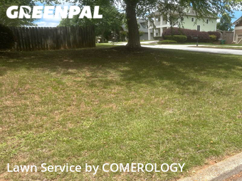 Lawn Care Service nearby Atlanta, GA, 
