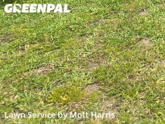 Lawn Cutting nearby Pompano Beach, FL, 