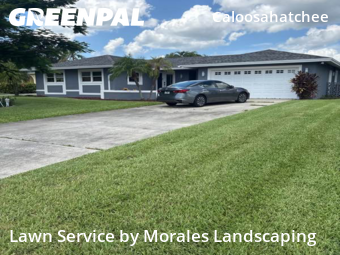 Lawn Mow nearby Cape Coral, FL, 