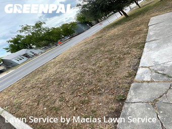 Grass Cut nearby San Antonio, TX, 