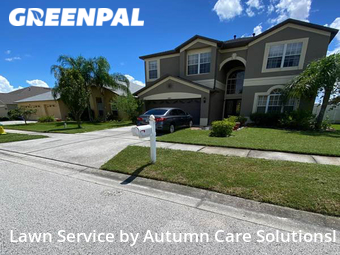 Lawn Maintenance nearby Tampa, FL, 