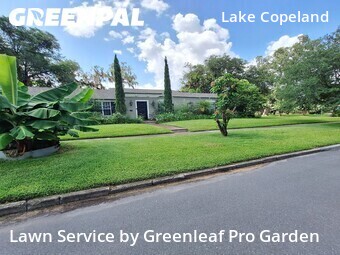 Yard Mowing nearby Orlando, FL, 
