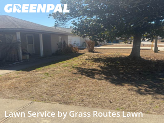 Lawn mowed in Ocala, 34472