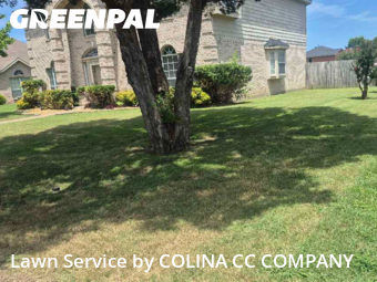 Lawn Mowing Service nearby De Soto, TX, 