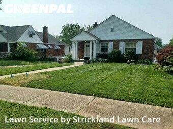 Lawn Cut nearby Overland, MO, 