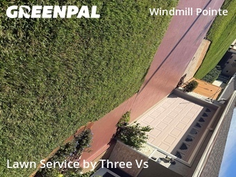 Yard Mowing nearby Palm Harbor, FL, 