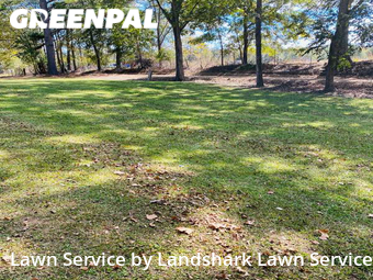 Lawn Mow nearby Olive Branch, MS, 