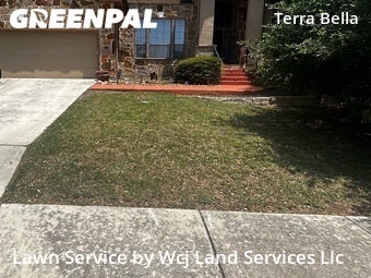 Grass Cutting nearby San Antonio, TX, 