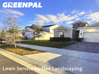 Grass Cutin Apopka,32712,Grass Cut by Dae Landscaping, work completed in Jan , 2026
