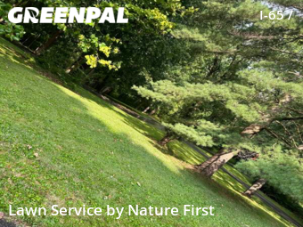 Lawn Mowing nearby Indianapolis, IN, 