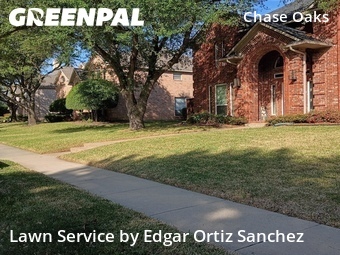 Grass Cut nearby Plano, TX, 