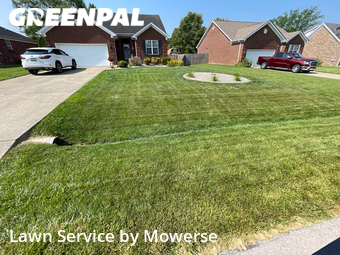 Yard Cutting nearby Mt Washington, KY, 