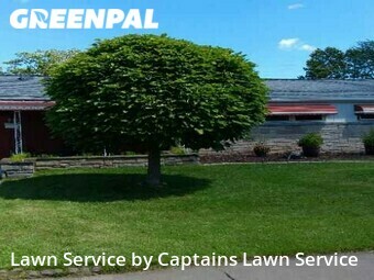 Yard Cutting nearby Depew, NY, 