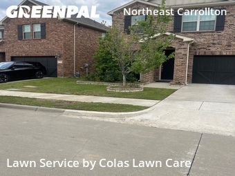 Grass Cut nearby Carrollton, TX, 