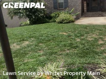 Lawn Care Service nearby Tennessee, TN, 