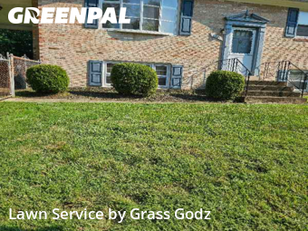 Lawn Cut nearby Clinton, DC, 