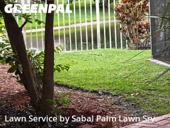 Lawn Carein Plantation,33322,Yard Mowing by Sabal Palm Lawn Srv., work completed in Dec , 2025