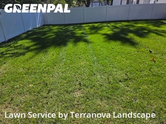 Grass Care in Carol Stream, 60188, Yard Care by Terranova Landscape, work completed in Nov , 2025
