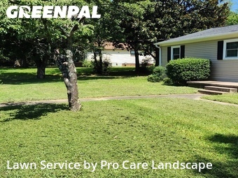 Grass Cutin Concord,28027,Lawn Mow by Pro Care Landscape , work completed in Jul , 2026