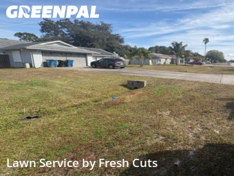 Grass Cut nearby Palm Bay, FL, 