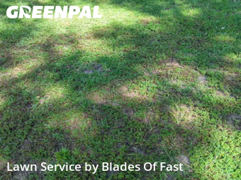 Lawn Mow nearby East Point, GA, 