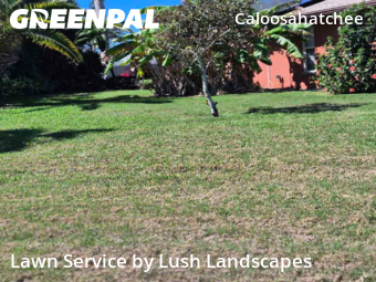 Lawn mowed in Cape Coral, 33904
