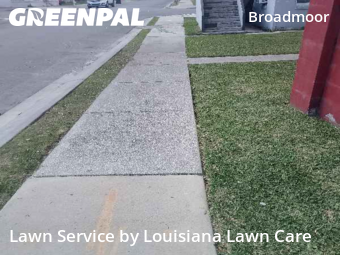 Grass Cut nearby New Orleans, LA, 