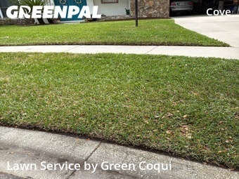 Yard Cutting nearby Tampa, FL, 