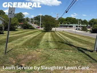 Lawn Mow nearby Oak Ridge, TN, 
