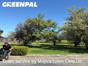 Work completed by lawn-care-experts-in-Elk Grove-CA