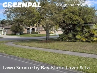 Grass Cut nearby Land O' Lakes, FL, 