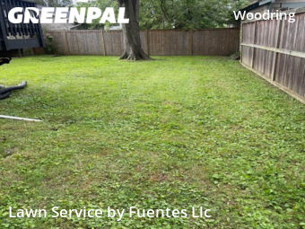 Lawn Care Service nearby Baltimore, MD, 