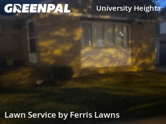 Lawn Mowing in Buffalo, 14214, Yard Grooming by Ferris Lawns, work completed in Oct , 2025
